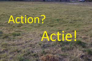 Action? Actie!