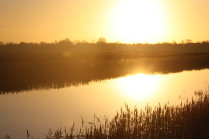 Steenwijkerland, o zo mooi man!